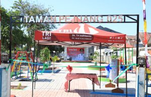 Ciptakan Ruang Terbuka Hijau, Tri Adhianto Wali Kota Bekasi Hadirkan Banyak Taman