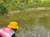 DLH Kota Bekasi Tangani Bangkai Ikan Sapu-Sapu di Kali Bekasi, KP2C Sampaikan Apresiasi